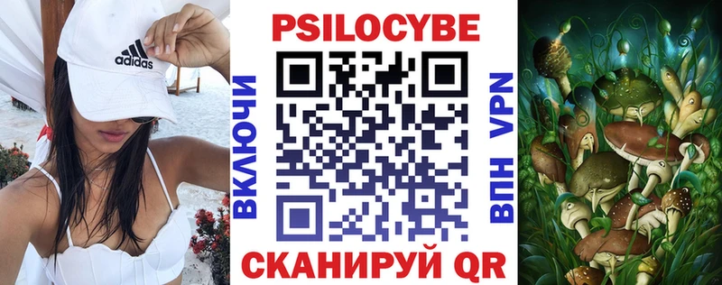 MEGA tor  как найти закладки  Михайлов  Псилоцибиновые грибы прущие грибы 