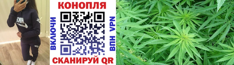 Бошки Шишки Amnesia  где купить наркоту  Михайлов 